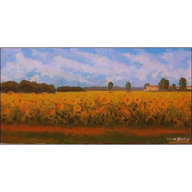 Girasoli impazziti di luce
